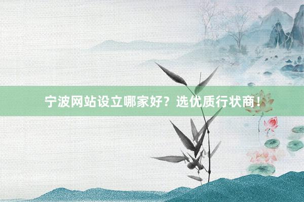宁波网站设立哪家好？选优质行状商！